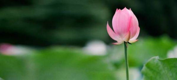 红颜命薄这几个惊世容颜的女明星感情至今没有好结局