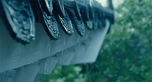 家里长蘑菇是吉是凶迷信说法 长蘑菇吉凶迷信