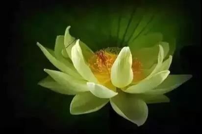 除夕夜的由来是什么？2024年除夕是新历几号？