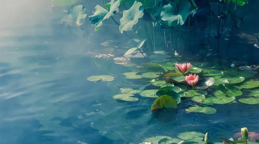 阳宅大门最吉的方位表 阳宅大门最佳朝向如何确定