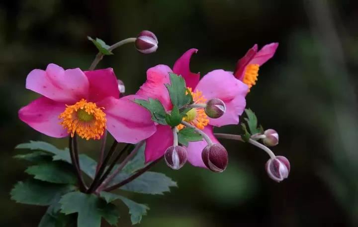 狗年宝宝起名宜用哪个字