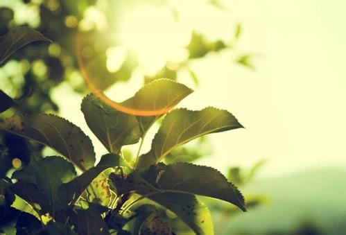 恋爱中的两个人是否适合结婚，只需看这“四点”