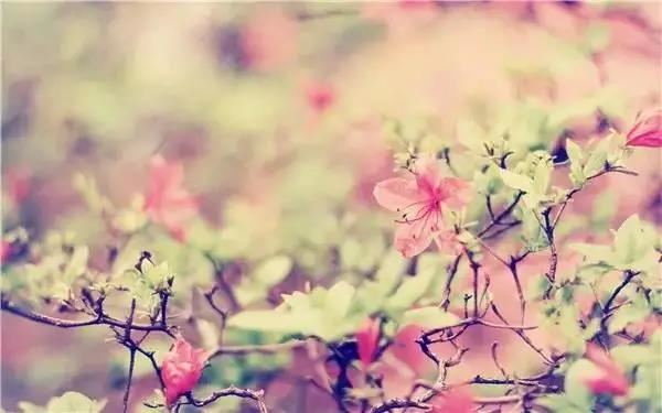 蓟州方言土词 B部（一）