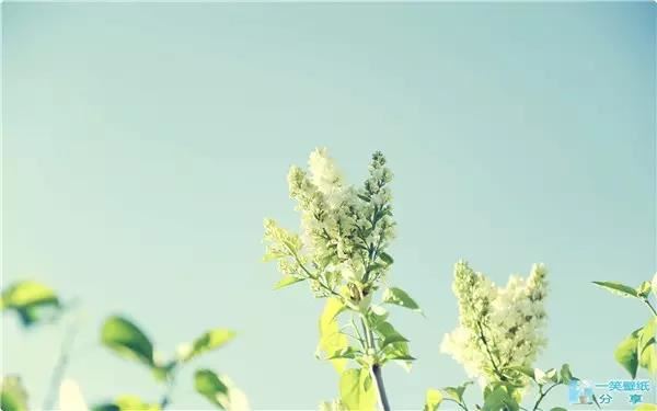 名字免费算命婚姻配对