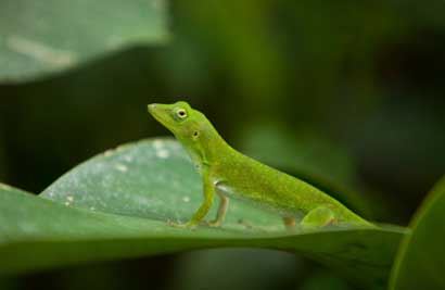 海洋方面给房间起名