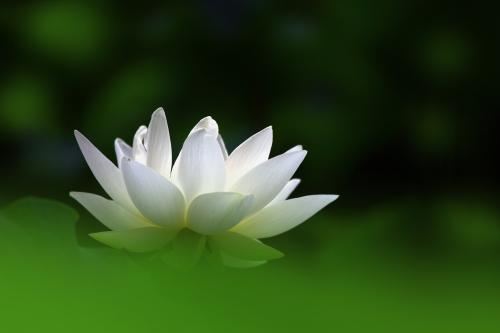 女人梦见自己生孩子意味着什么