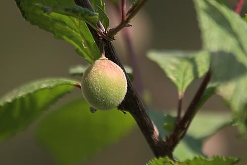 写出两句国学经典