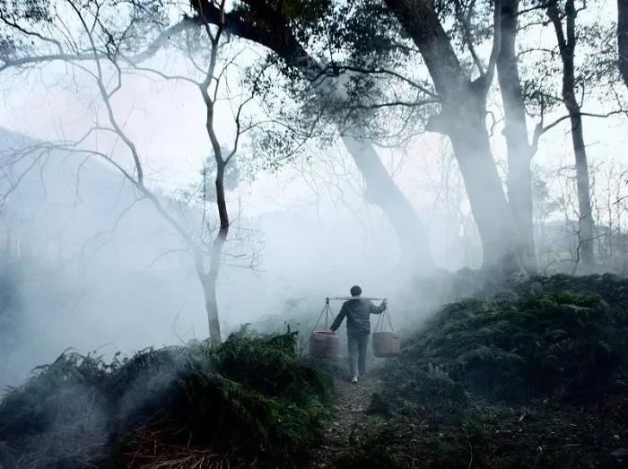 八字入门基础之五行生克与十神确定，#国学文化