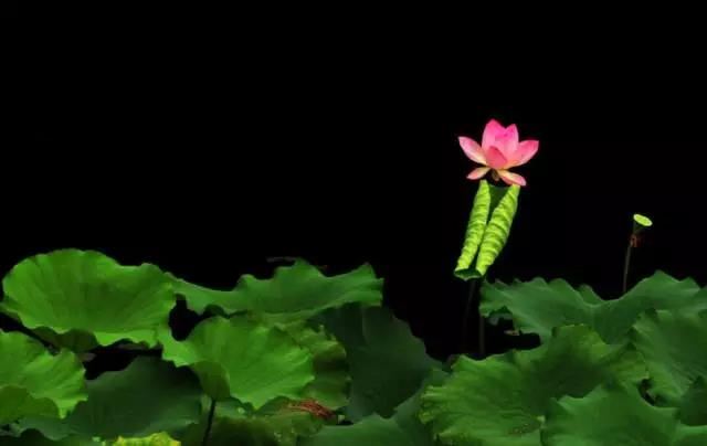 梦到手机屏幕碎了是什么意思 有何预兆