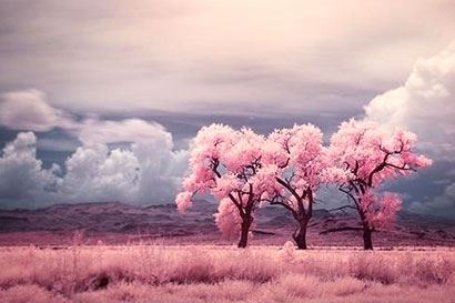 2024年12月搬家吉日一览表 4月搬家最旺日子