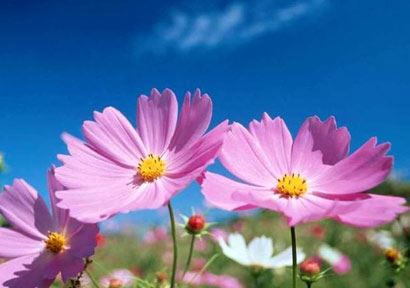 2025年3月28号午时出生的男孩起名方法