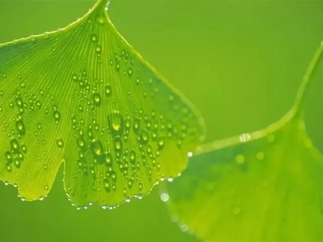 右手的手掌有痣好不好？女性的手臂上有痣好吗？