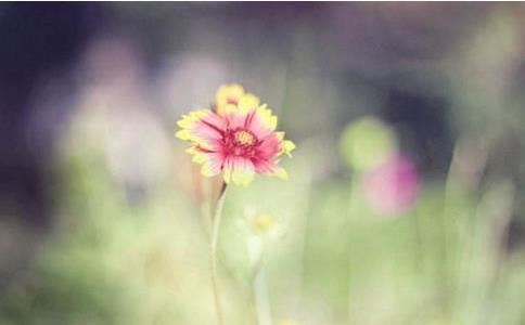 曹姓双胞胎起名