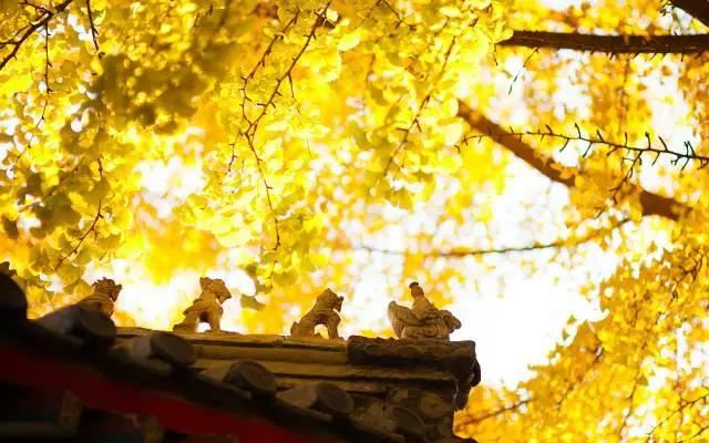 【五分钟教你学看八字】看今天这个案例：45岁以后不错，先苦后甜