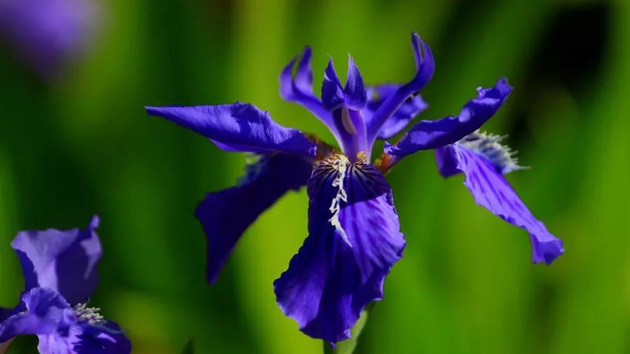 衣柜是红色的可以旺家庭吗