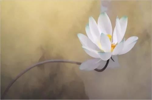 根据父母姓氏起名：传统与现代的纠葛