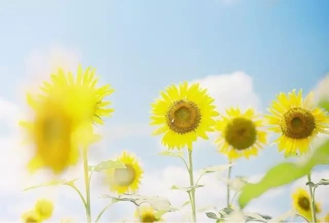 睡姿的风水讲究 睡姿风水有何讲究