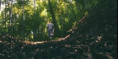 算命里面的绝命是什么意思  算命先生说绝命是啥意思