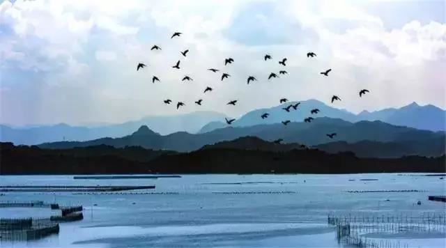 紫微斗数的命格,紫微斗数十大贵命命格