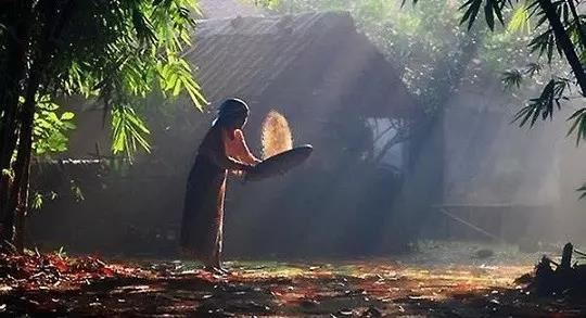 属狗和属牛的合不合 属狗与属牛配对是否相容