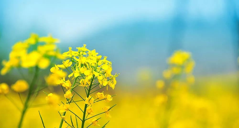 阳宅风水如何做到阴阳平衡 阳宅如何平衡阴阳