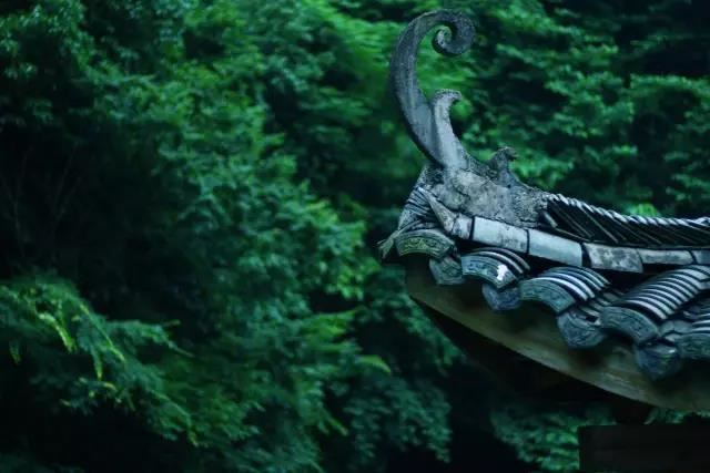 今日几点白露 白露时节几点了