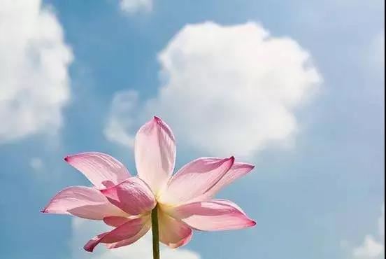 “命”与“运”的关联与区别，完整解释