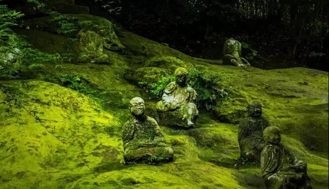 从脸型解读人品，超准！