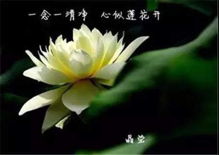 免费测试商标名称吉凶,公司名称测吉凶汉程