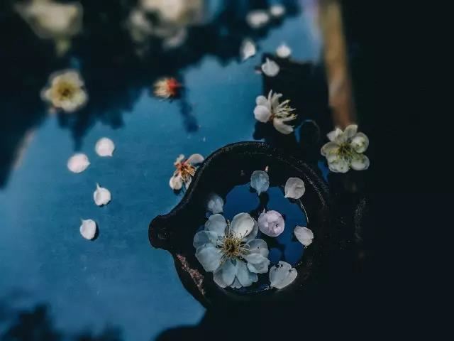 73属牛48岁运程走向 值太岁运势低迷