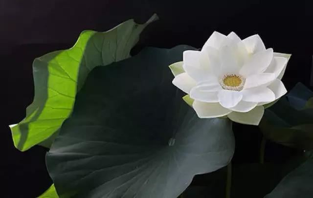 日柱劫财正印_正印坐劫财流年会发生什么