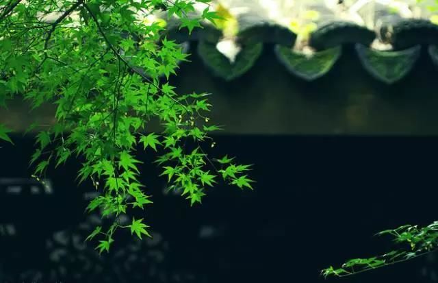 上坎下巽,水风井卦预示着好还是坏