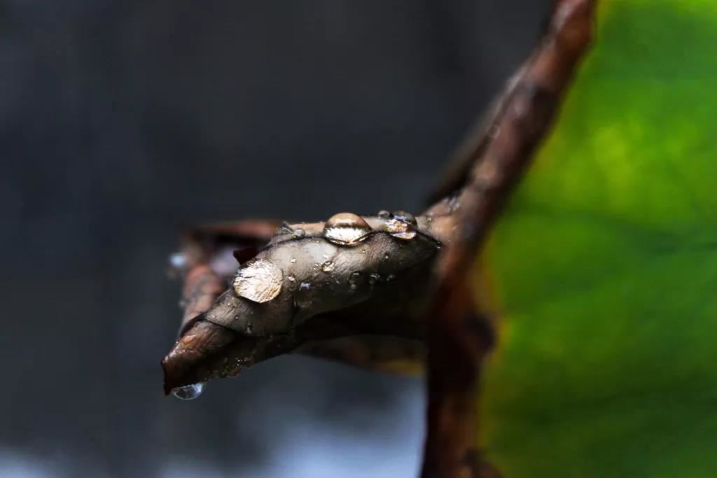 走起名大师创意