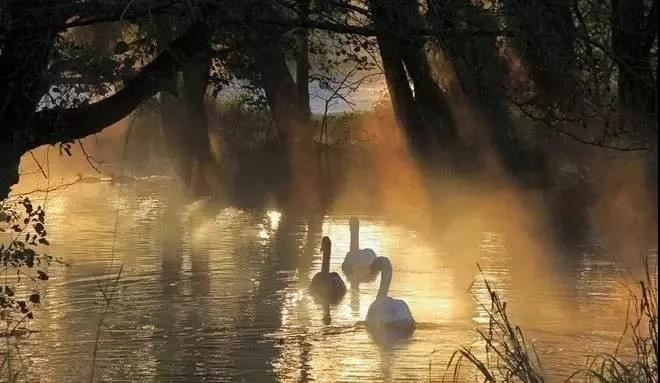 日家奇门排盘，日家奇门遁甲怎么布局？
