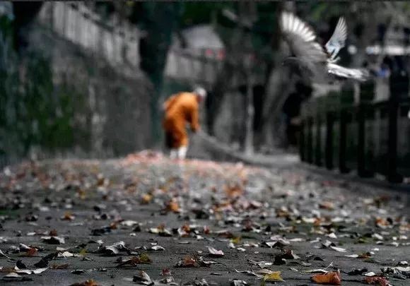 性感最好的星座,十二星座变身的样子