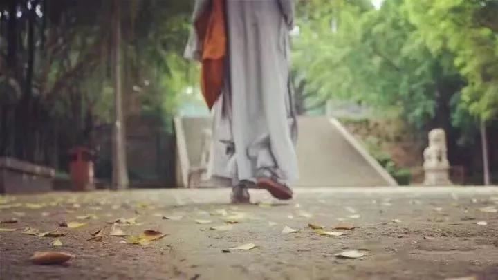 瑛字指什么生肖的动物和动物,瑛啥意思