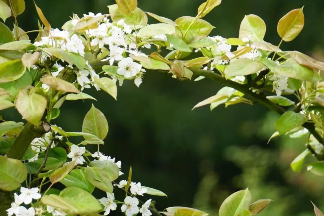 2024年转大运的生肖 牛年行大运的属相有哪些