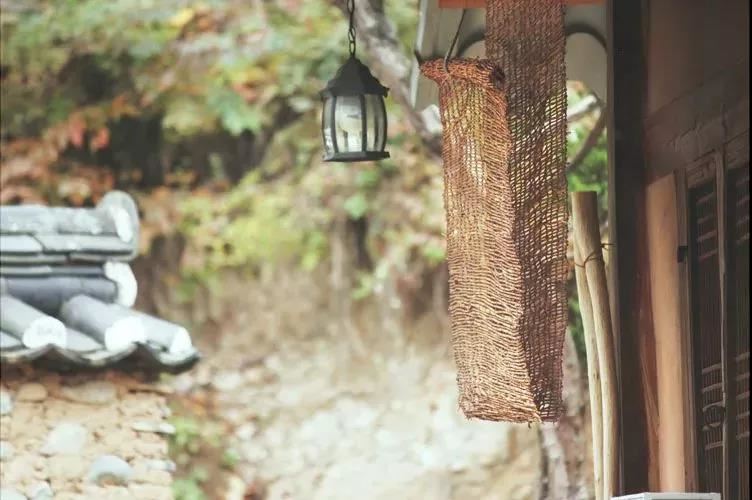 申猴生人必看：生日尾数藏玄机，这4个数字预示一生富贵无忧！