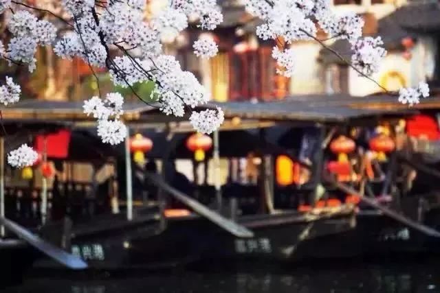 属蛇42岁后有十年大运 属蛇人佩戴什么可以转运