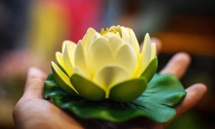 紫微斗数是如何排盘的，其实不难，有8个步骤