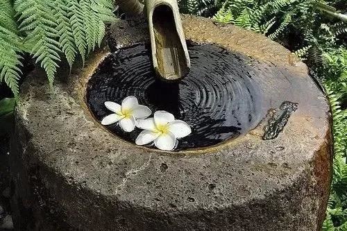 男人耳朵大意味着什么