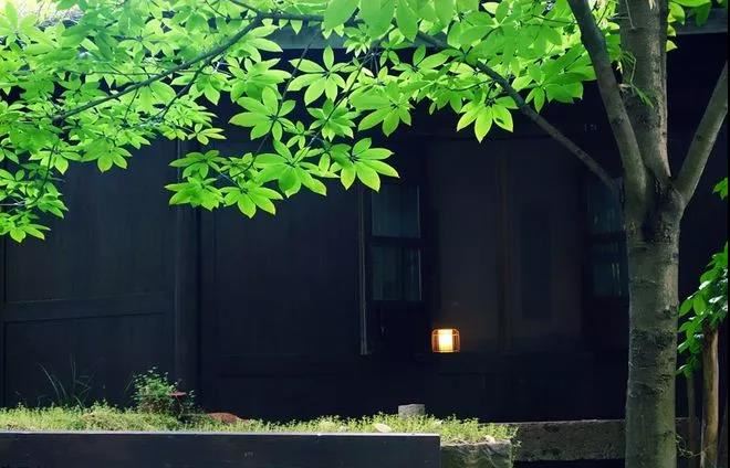 虚荣心强爱面子的八字特征 八字虚荣面子强有何特征