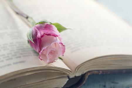 朝山案山是什么意思 朝山案山有何含义