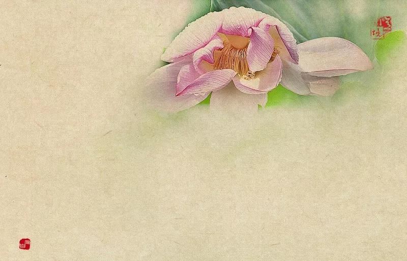 如何选择佩戴合适的饰物#国学文化