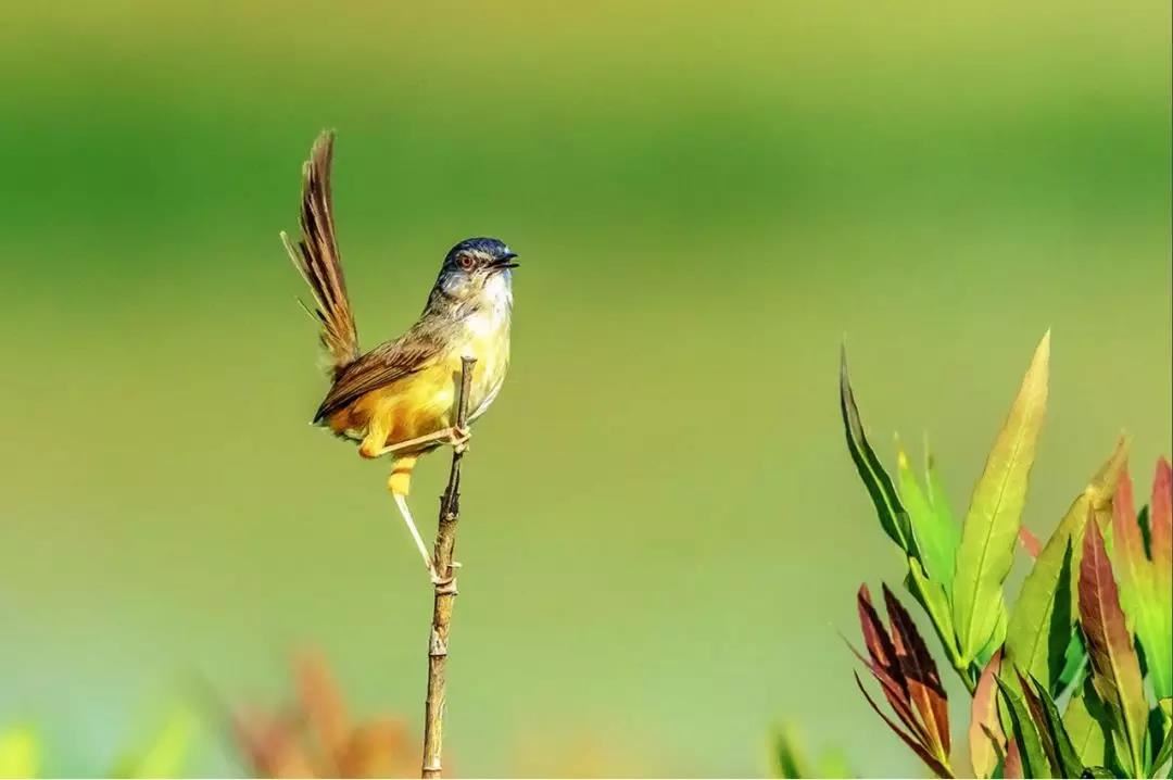 国学经典的古诗