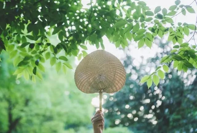 钗钏金命车饰宜摆放什么？钗钏金命家中风水布局