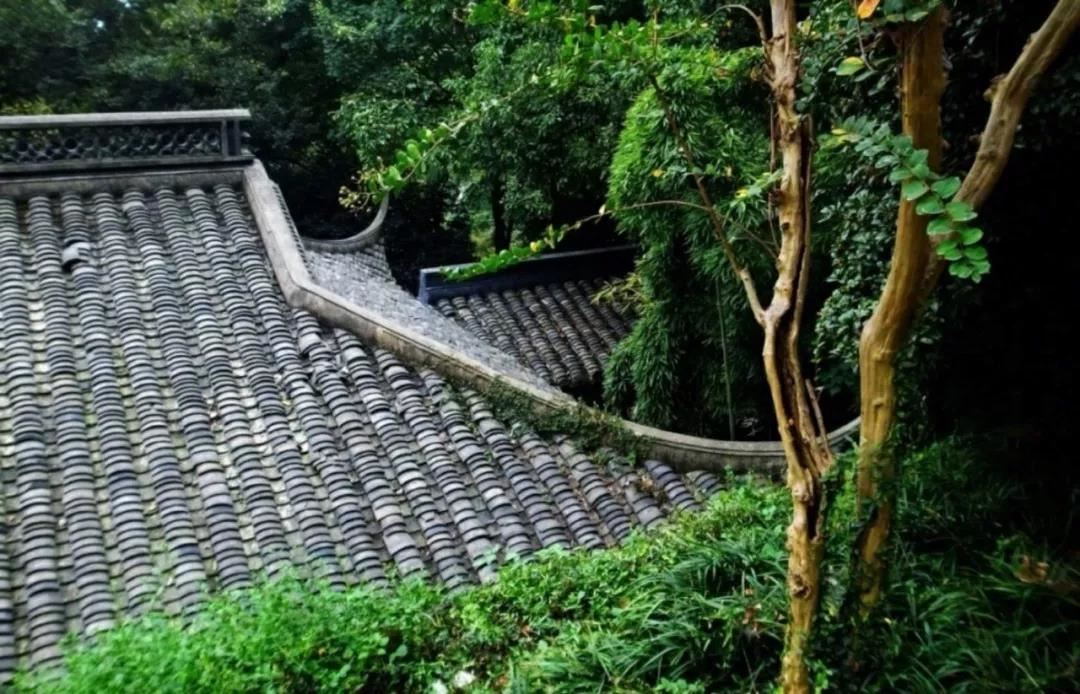 易经中最好的三个数字