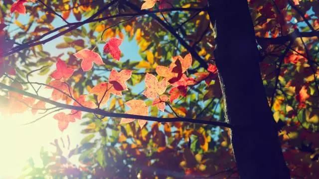 中元节祭祀土地寓意 中元节祭祀有什么忌讳