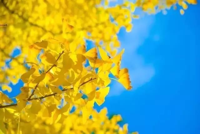 商标吉凶测示图片