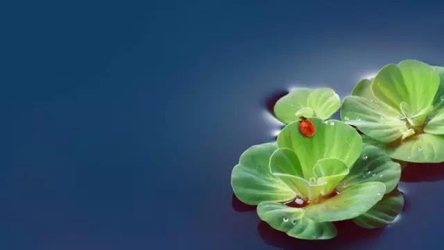 起名带水字旁的字